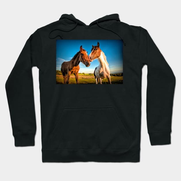 Companions#2 Hoodie by RJDowns